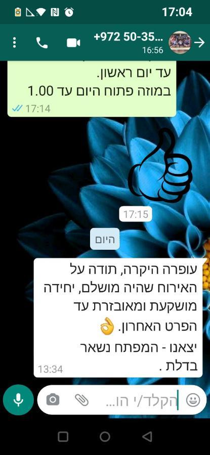 רקפת - יחידה במדבר Arad